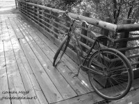 /album/fotogaleria/tiempo-bohemio-derechos-reservados-jpg1/